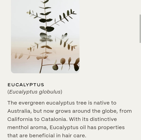 Twentynine Palms Cleansing Shampoo & Desert Tumbleweed Softening Conditioner Set - Picture 3 of 10